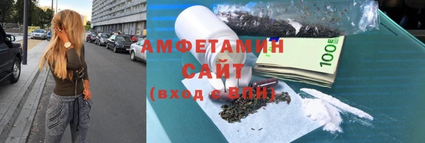 шишки Богородицк